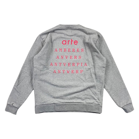 Sweat gris taille M - Le Saptuaire